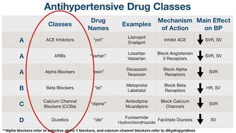 beta blocker equivalent doses|Equivalent doses of antihypertensive drugs .